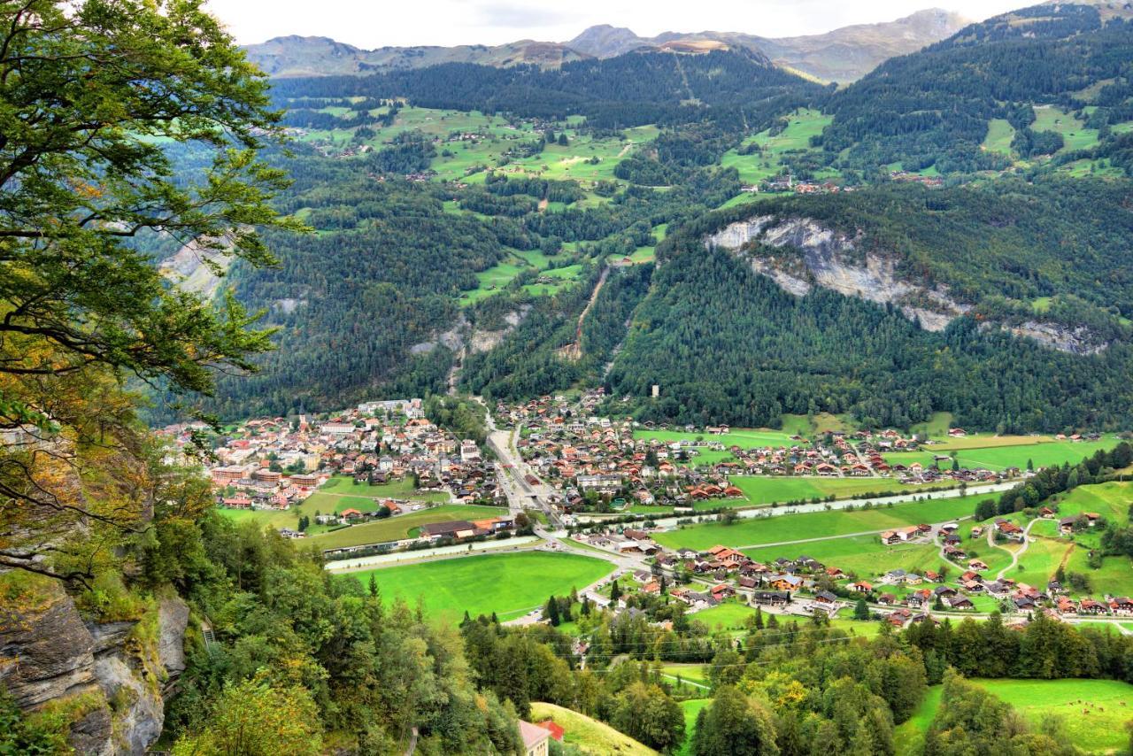 Alpenrose 2*